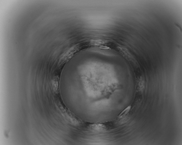 X0000103240427200809041051