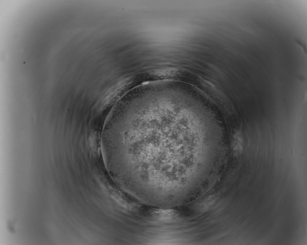 X0000103240428200809041051