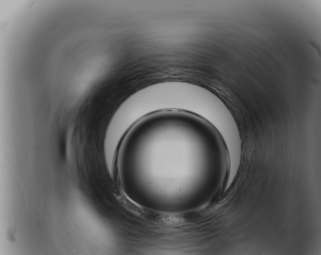 X0000103240429200809041051