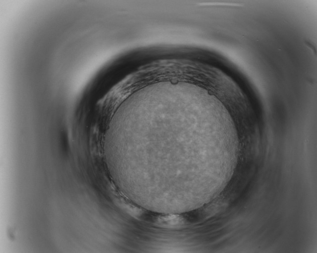 X0000103240431200809041051