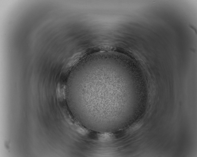 X0000103240432200809041051