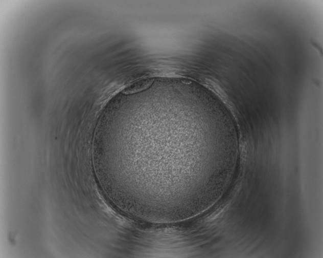 X0000103240433200809041050