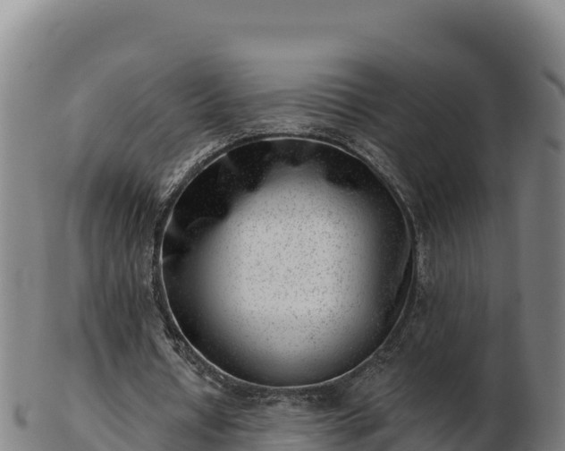 X0000103240434200809041050