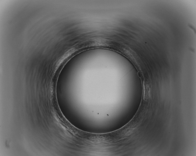 X0000103240435200809041050