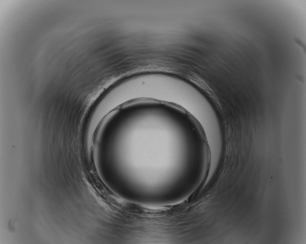 X0000103240436200809041050