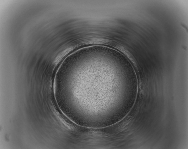 X0000103240437200809041050