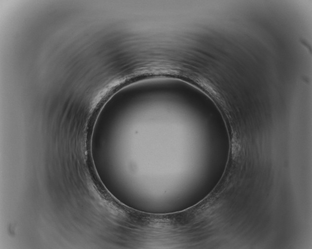 X0000103240438200809041050