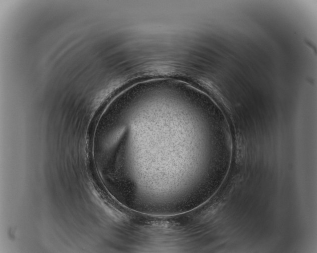 X0000103240439200809041050