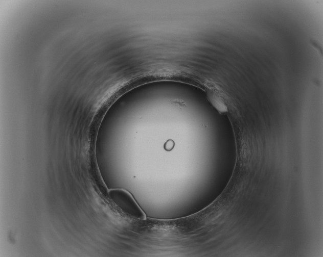 X0000103240440200809041050