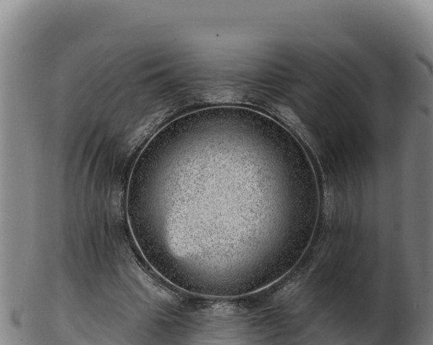 X0000103240441200809041050