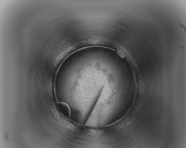 X0000103240442200809041050