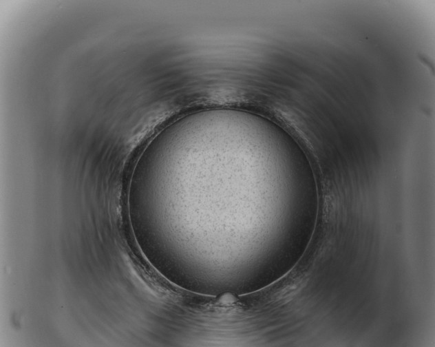 X0000103240443200809041050