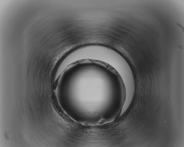 X0000103240444200809041050