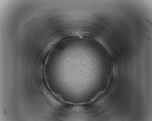 X0000103240445200809041050