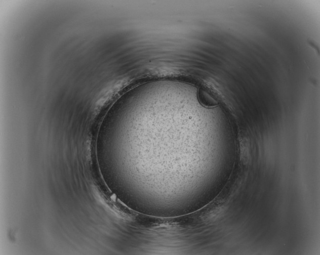 X0000103240447200809041050