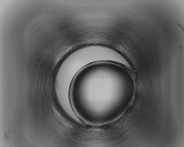 X0000103240448200809041050