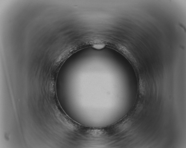 X0000103240449200809041050