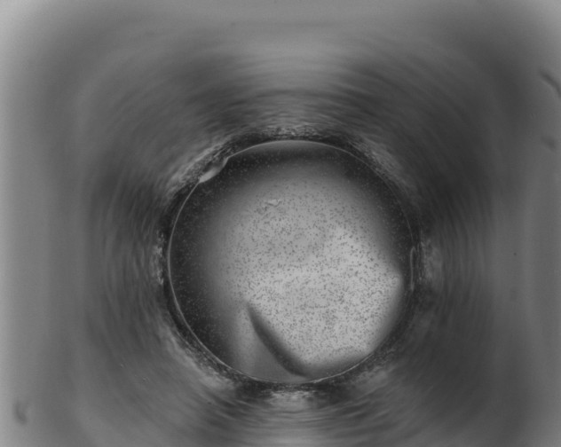 X0000103240450200809041050