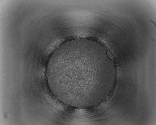 X0000103240451200809041050