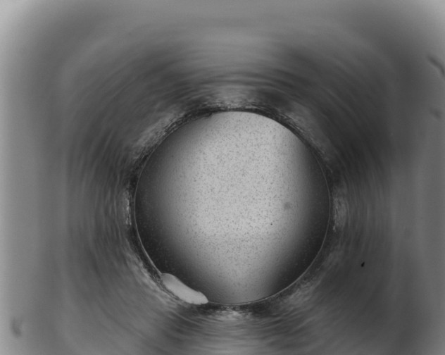 X0000103240453200809041050