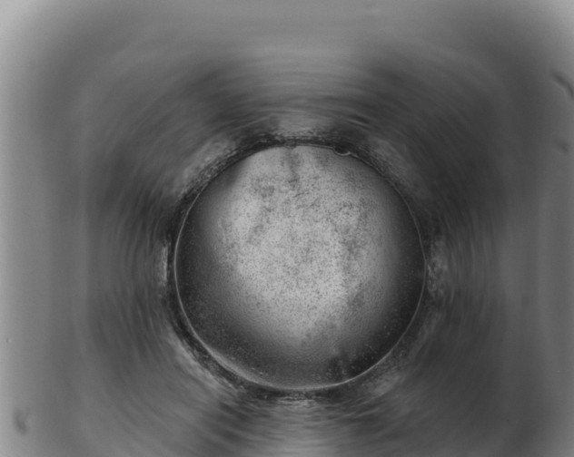 X0000103240454200809041050