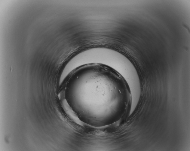 X0000103240456200809041050