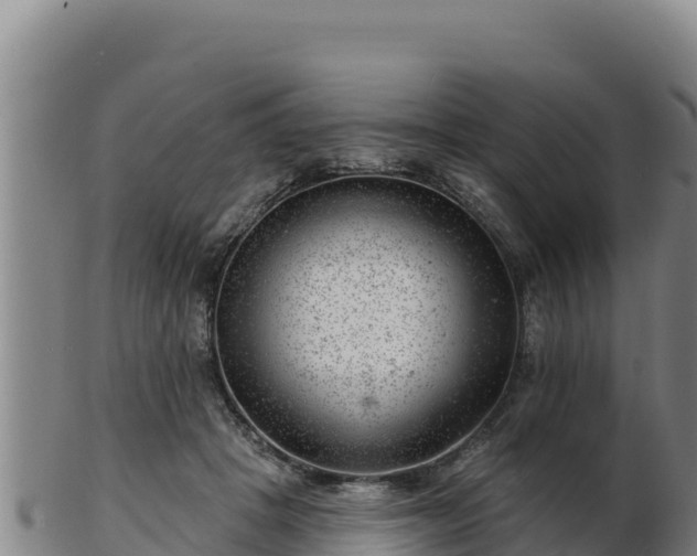 X0000103240457200809041050