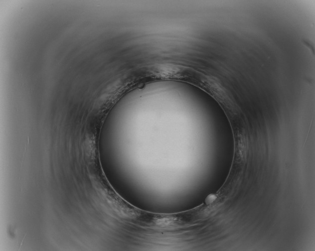 X0000103240461200809041050