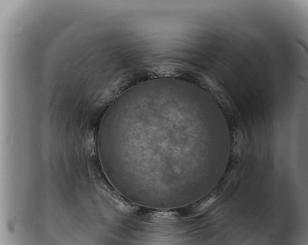 X0000103240465200809041050