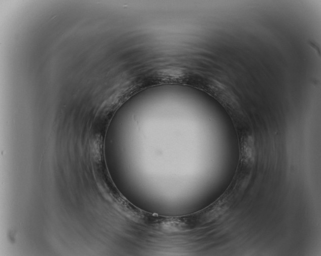 X0000103240468200809041051