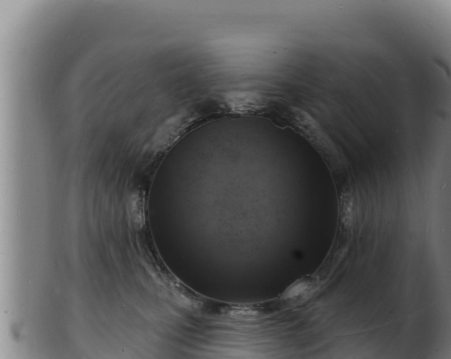 X0000103240471200809041051