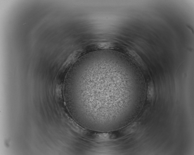 X0000103240473200809041051