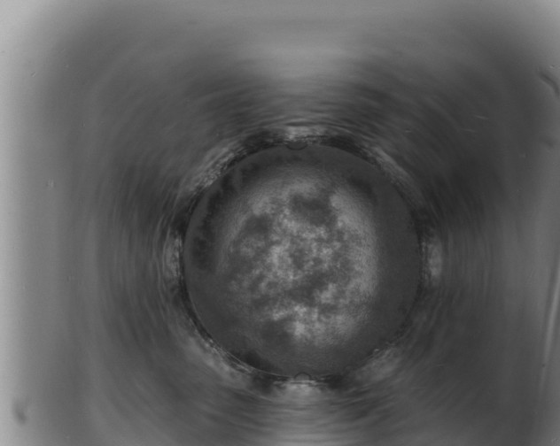 X0000103240475200809041051