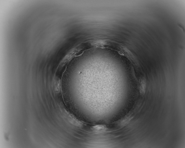 X0000103240477200809041051