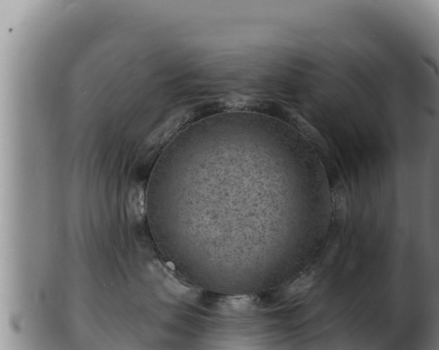 X0000103240479200809041051