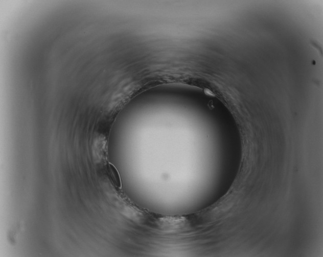 X0000103240480200809041051