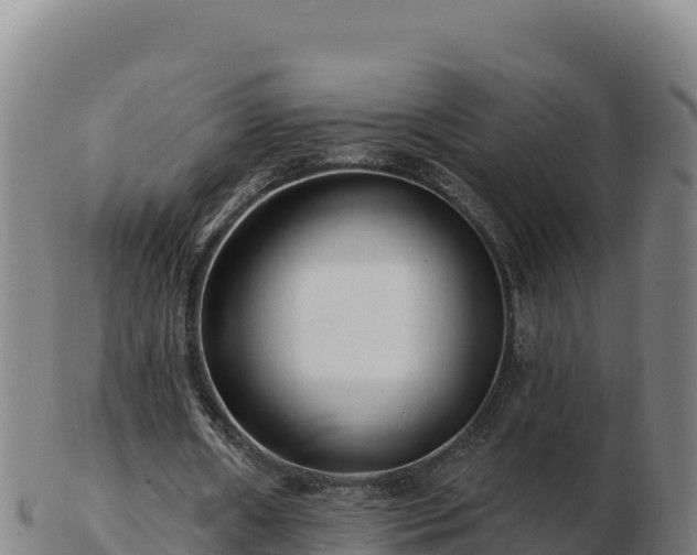 X0000103240482200809041050