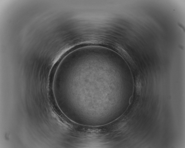 X0000103240484200809041050