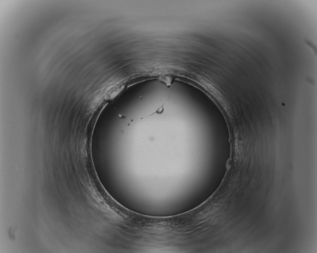 X0000103240485200809041050