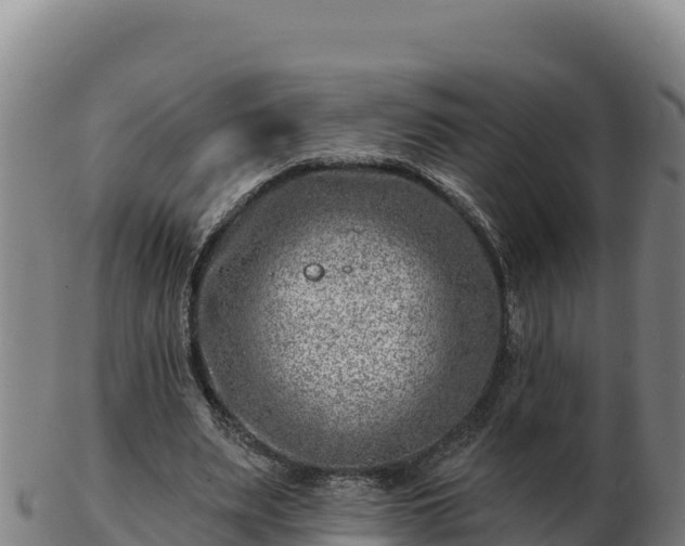 X0000103240487200809041050