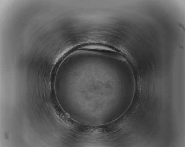 X0000103240488200809041050