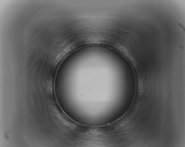 X0000103240489200809041050