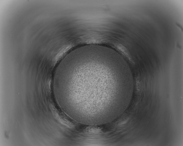 X0000103240491200809041050