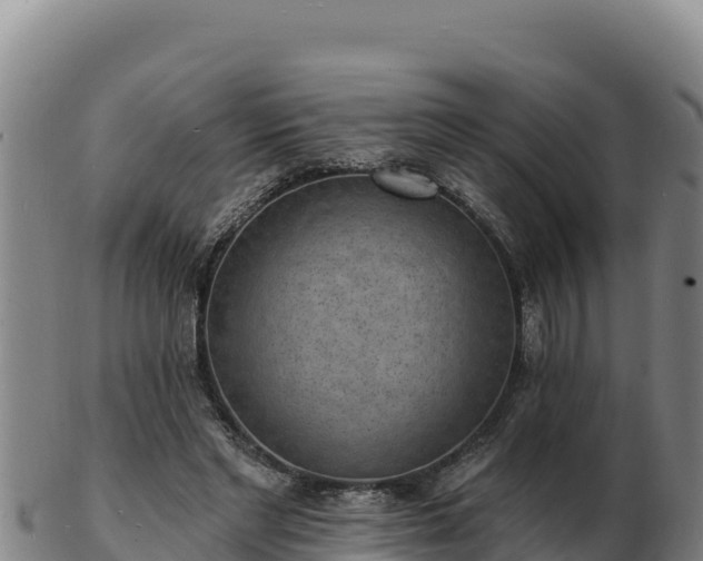 X0000103240493200809041050