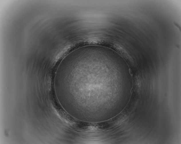 X0000103240496200809041050