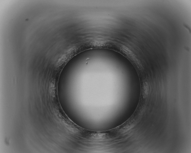 X0000103240497200809041050