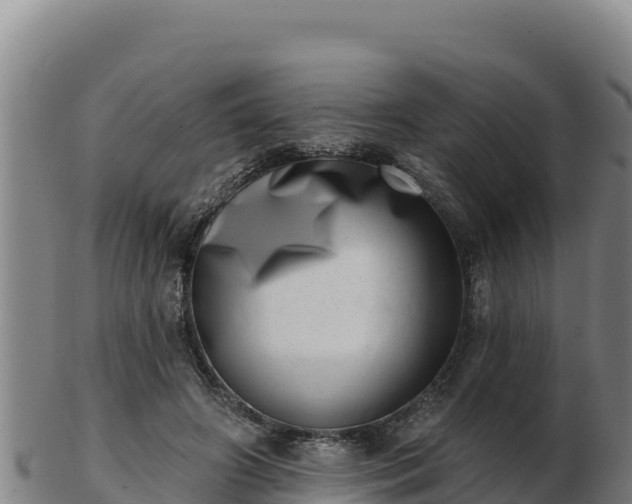 X0000103240498200809041050