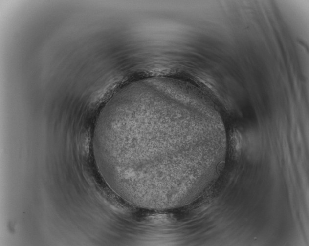 X0000103240499200809041050