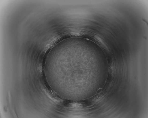 X0000103240500200809041050