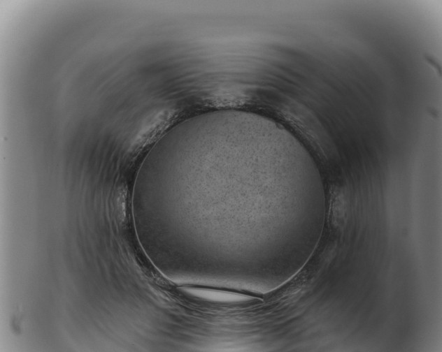 X0000103240501200809041050